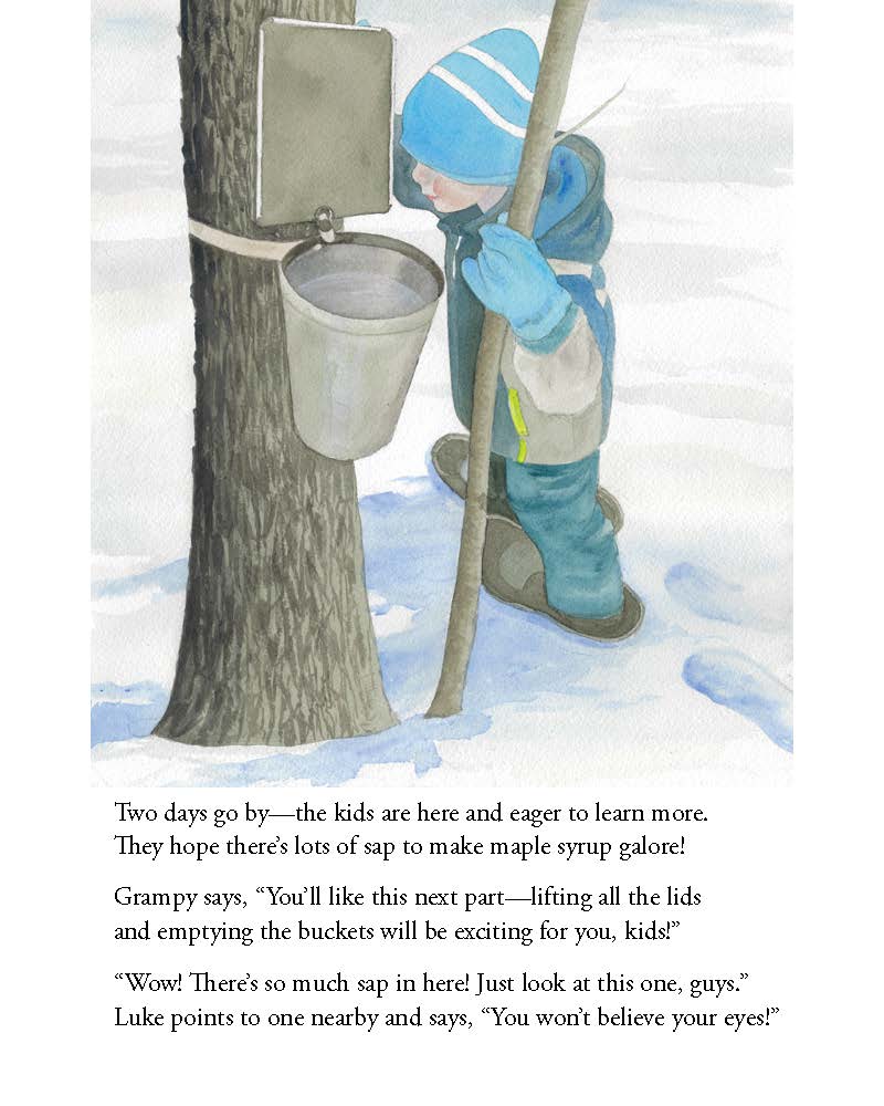 How to Tap a Maple (Hardcover) - Image 6