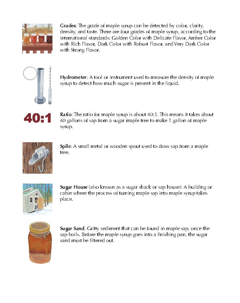 How to Tap a Maple (Hardcover) - Image 12