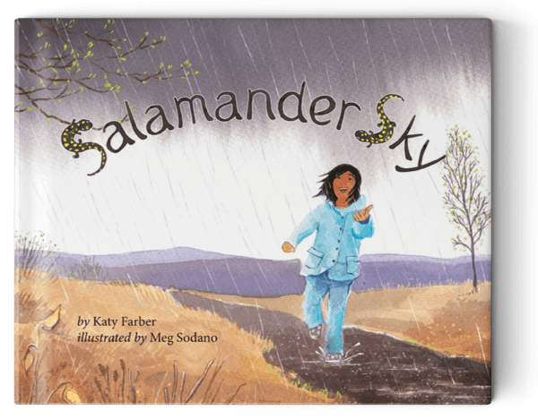 Salamander Sky book cover